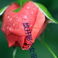 九游会登录j9入口 - 中国官方网站 | 真人游戏第一品牌
