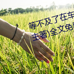 等缺乏了在車上就弄到了高c(小教主著)全文免費閱讀