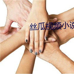 丝瓜视频小说