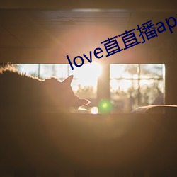 love直直播app网站
