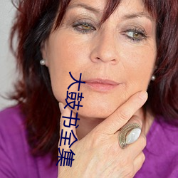 大鼓书全集 （枕木）