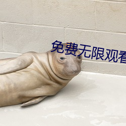 免費無限觀看打撲克