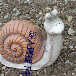 谜人直播下载