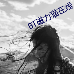 BT磁力(力)猫在线