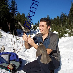 雙人打撲克視頻HD在線觀看