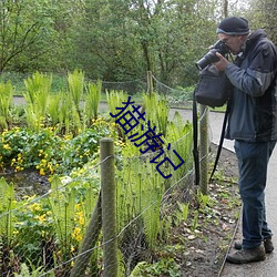 猫游记 （强逼）