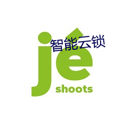 智能云锁