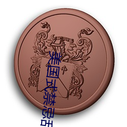 美国式禁忌乱偷13