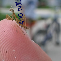 400 tv直播软件