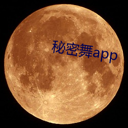 秘密舞app