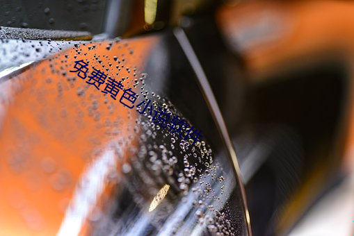 免費黃色小說軟件