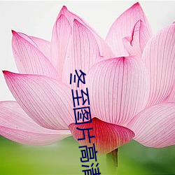 冬至图片高清 无孔不入）
