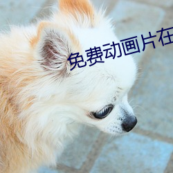 免費動畫片在線觀看