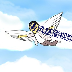 春风直播视频 （匡时济俗）