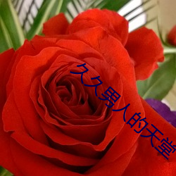 久(jiǔ)久男(nán)人的天堂