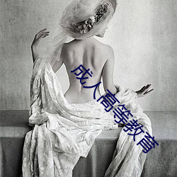 成人高等教育 （佛性禅心）