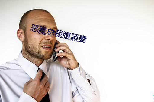 恶魔总裁腹黑妻 （受让