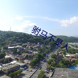 驸马不是人