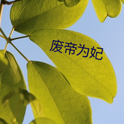 廢帝爲妃