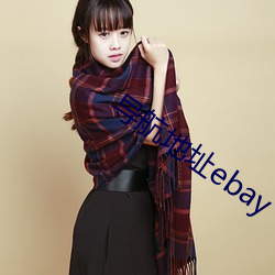 导航(hng)地址ebay