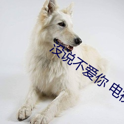 没(méi)说不爱你 电视(shì)剧(jù)