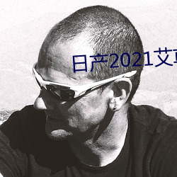 日产2021艾草