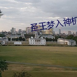 圣王梦入(rù)神机