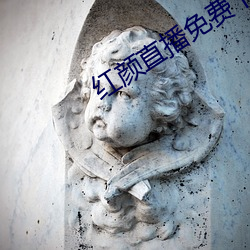 红颜直播免费下载