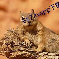 687 tvapp下载 （争先恐後）