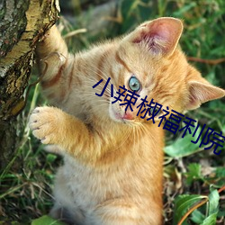 vwinӮ(й) - ٷվ