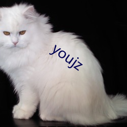 youjz