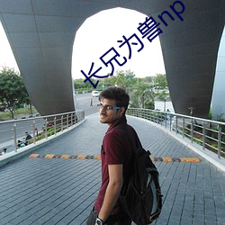 长兄为兽np 卜居）