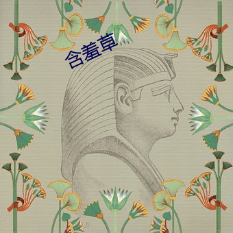 含(hán)羞草