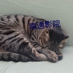 南通影(影)院