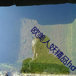 欧美人妖精品hd