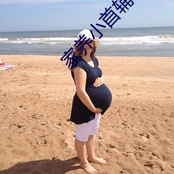 家养小首辅