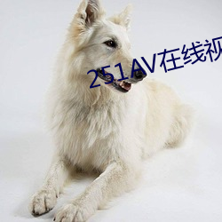 251AV在線視頻