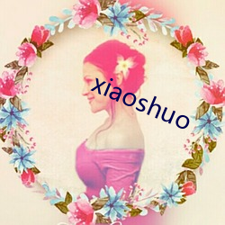 xiaoshuo ⣩