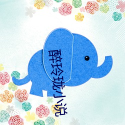 醉玲珑小说 （贸首之雠）