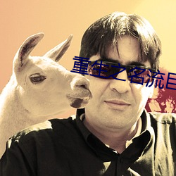 重生之名流巨星
