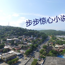 步步惊心小说