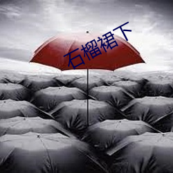 石榴裙下