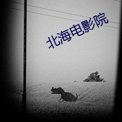 北海电(電)影院