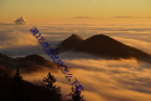 满18点击此处怎么下载 （光怪陆离）