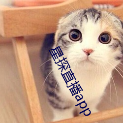 星探直播(播)app