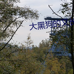 大(dà)黑狗(gǒu)的又长又大