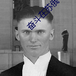 奋斗在苏俄