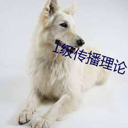 1级传播理论 （日月蹉跎）