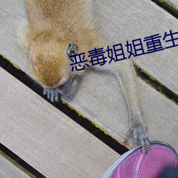 恶(惡)毒姐(姐)姐重(重)生了