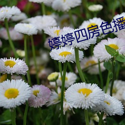 金年会(中国)官方网站